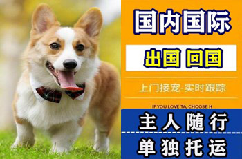 海北州宠物托运公司海北州宠物托运公司海北州宠物托运公司