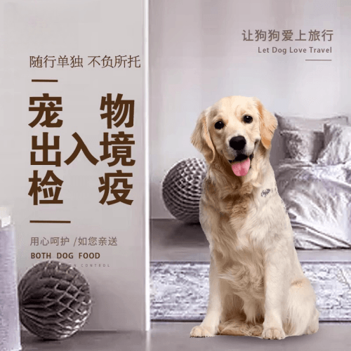 海北州宠物托运到哥伦比亚猫狗宠物入境规定和
