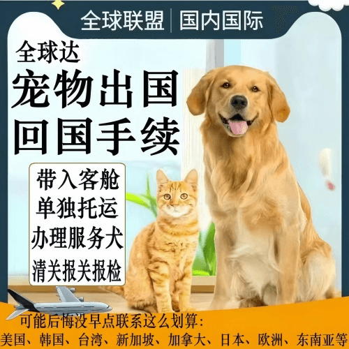 海北州宠物托运到柬埔寨宠物入境规定和要求