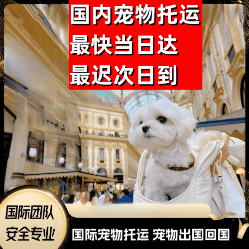 海北州到澳大利亚（澳洲）宠物入境规定和要求