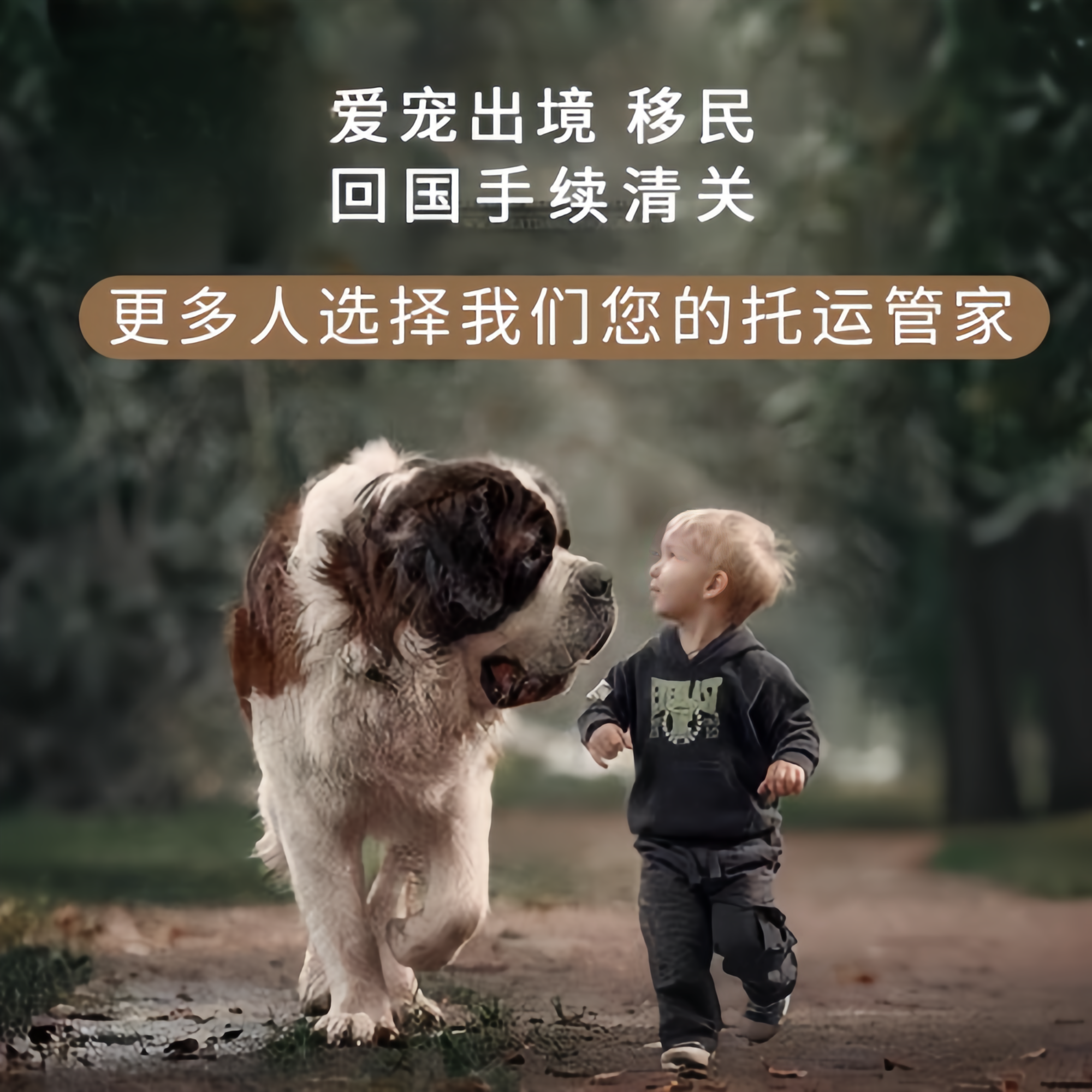 满财海北州宠物全球达宠物托运在遵守入境目的地政策的条件