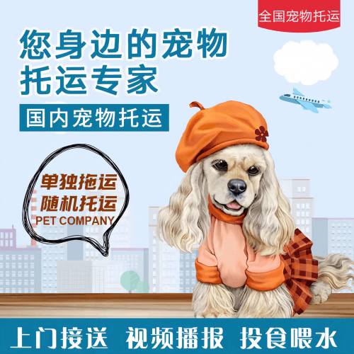 满财海北州宠物全球达宠物托运作为专业的宠物运输代理机构